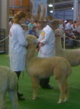 Show results for 2010
